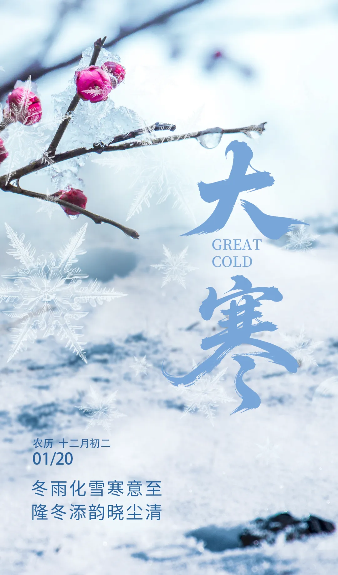 微信图片_20260115084938_112_30.jpg